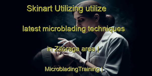 Skinart Utilizing utilize latest microblading techniques in Zitoraga area | MicrobladingTraining | MicrobladingClasses | SkinartTraining-Serbia